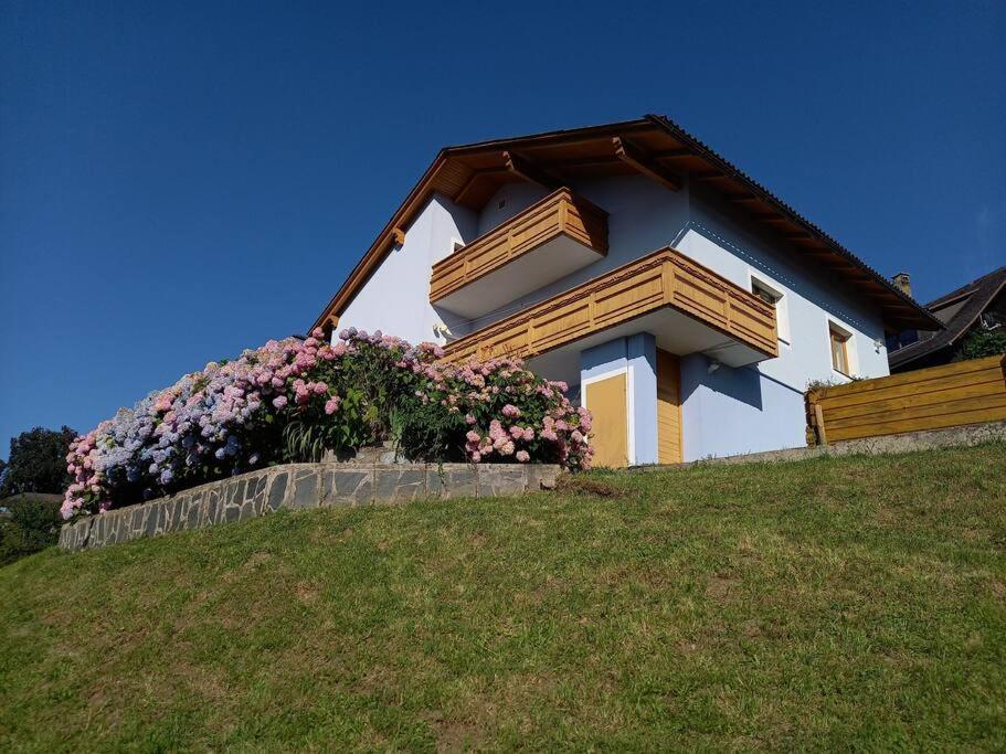 Haus Sonnenhang +Seeblick+Pool Reifnitz Dış mekan fotoğraf