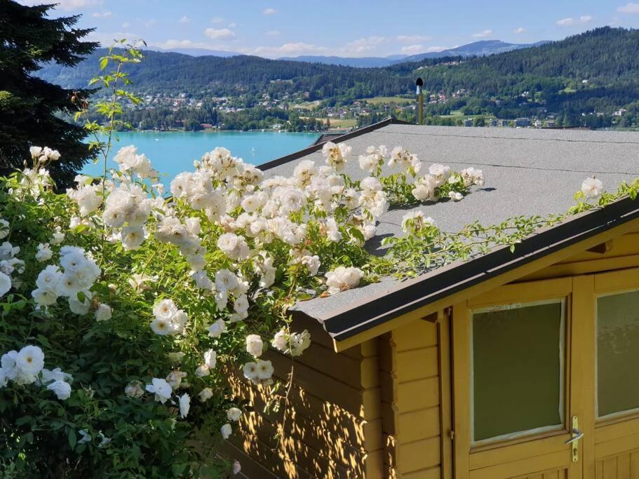 Haus Sonnenhang +Seeblick+Pool Reifnitz Dış mekan fotoğraf