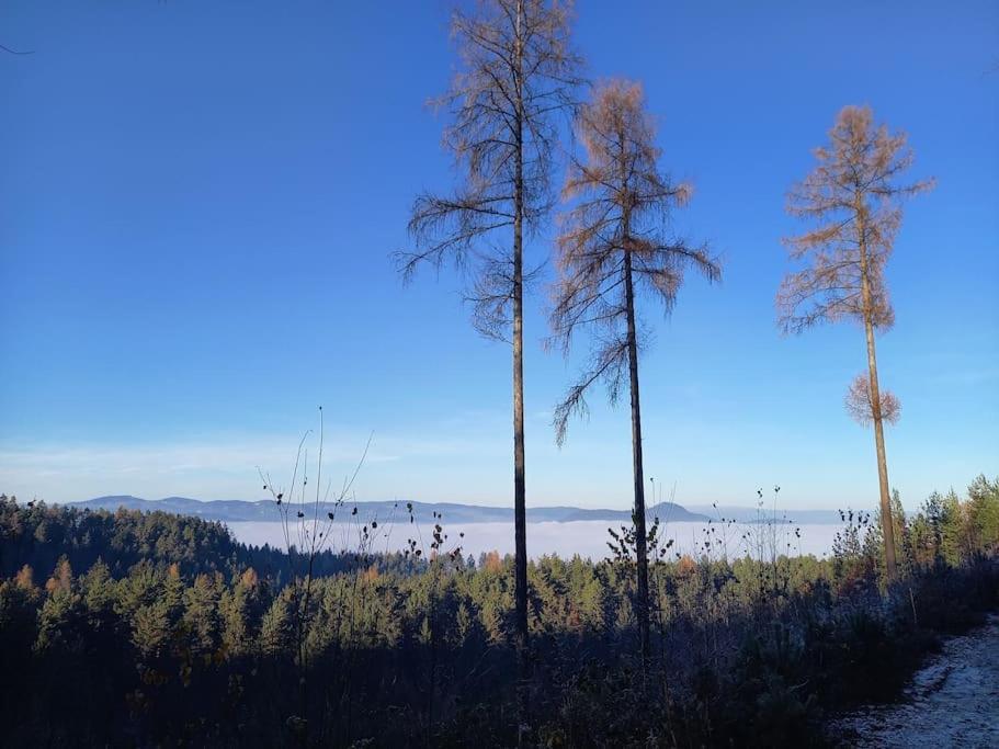 Haus Sonnenhang +Seeblick+Pool Reifnitz Dış mekan fotoğraf
