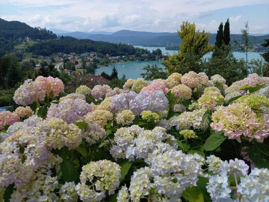 Haus Sonnenhang +Seeblick+Pool Reifnitz Dış mekan fotoğraf